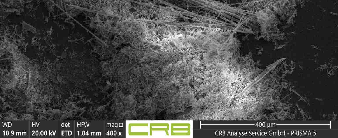 REM-Aufnahme Probe 001: dichter Filz aus geraden Amphibol-Fasern (Tremolit)
