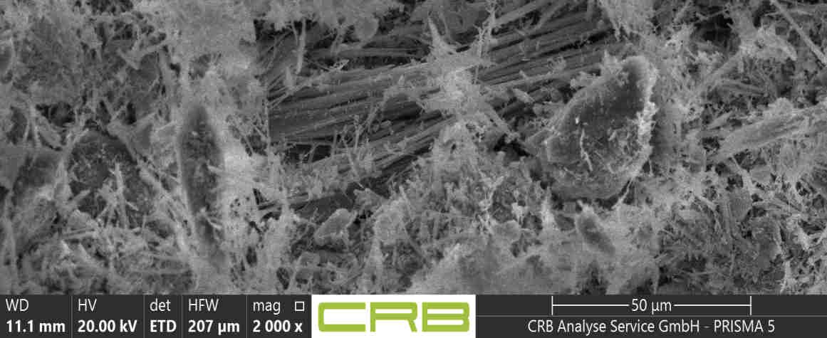 REM-Aufnahme Probe 002: aufspleißende Tremolit-Faserbündel