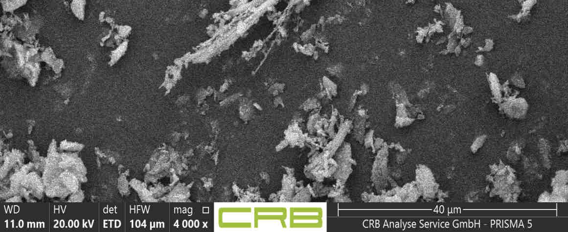 REM-Aufnahme Probe 003: einzelne gebogene Chrysotil-Faser im körnigen Material