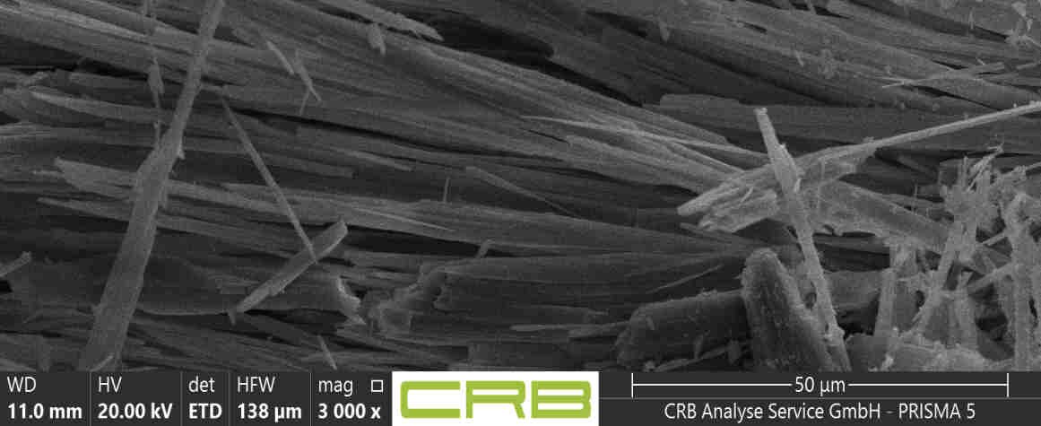 REM-Aufnahme Probe 004: dichtes Bündel gerader, prismatischer Tremolit-Nadeln