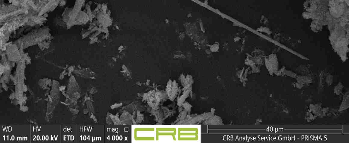 REM-Aufnahme Probe 006: gerade Amphibol-Fasern zwischen Mineralkörnern