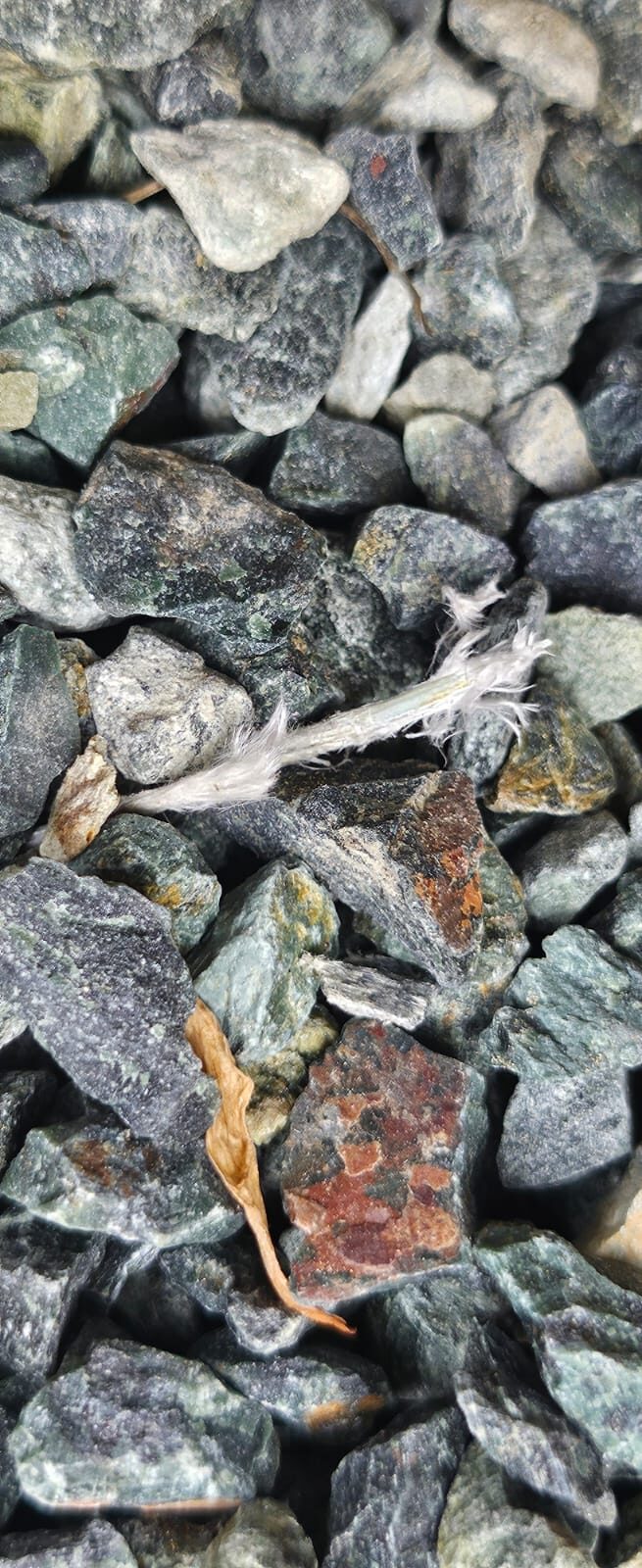 Close-up of crushed serpentinite gravel with rust-brown iron-oxidation coatings on several weathered pieces.